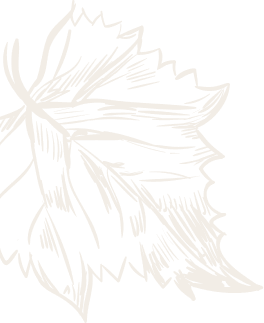 decor-image