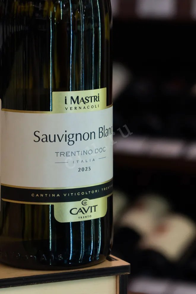 В магазине Крю Профи Mastri Vernacoli Sauvignon Blanc 2023 0.75 л