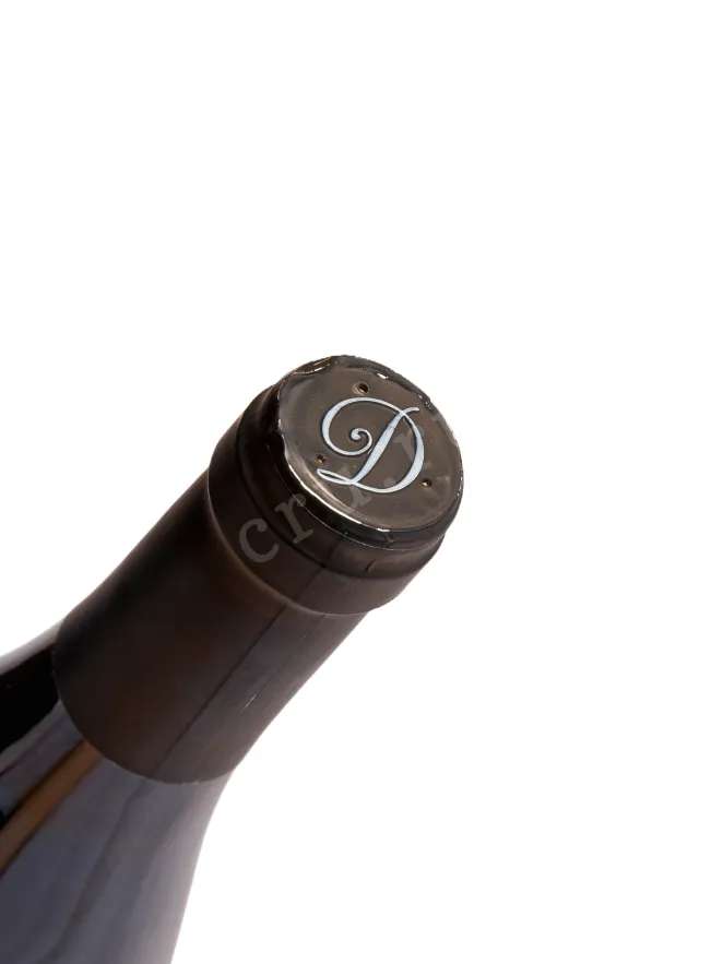 Пробка Domaine Delaporte Sancerre Silex  2023 0.75 л