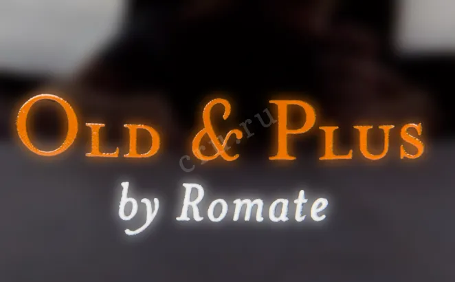 Херес Old & Plus by Romate Amontillado  0.75 л