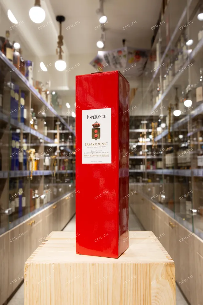 В магазине Крю Профи Domaine d'Esperance Les Tresors de d'Artagnan 1982 0.7 л