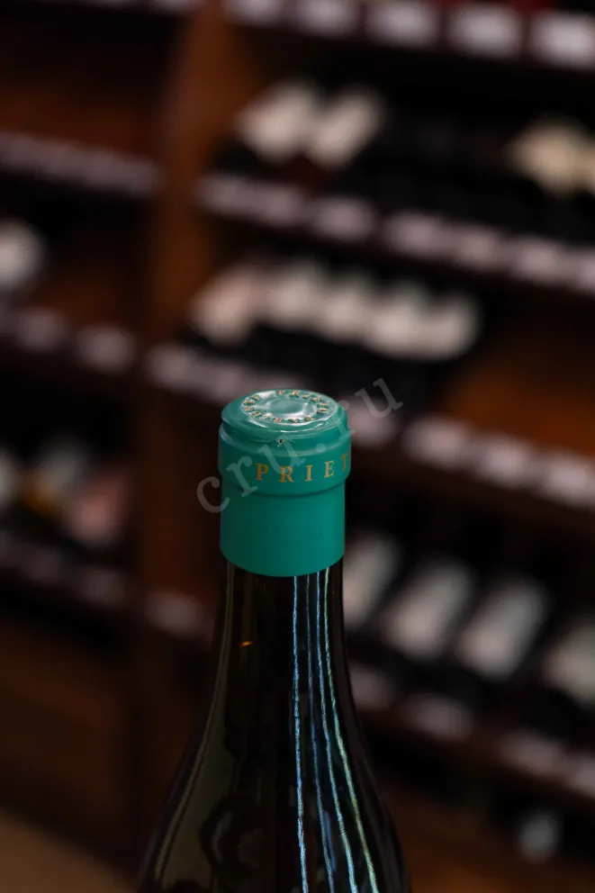 Пробка Prieto Pariente Viognier 2021 0.75 л