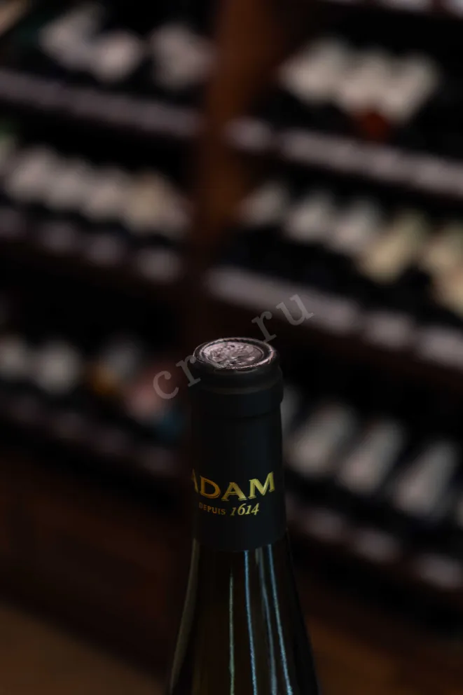 Пробка Jean-Baptiste Adam Gewurztraminer Reserve Alsace AOC 2023 0.75 л