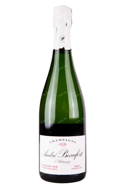Шампанское Andre Beaufort Ambonnay Blanc de Blancs 2018 0.75 л
