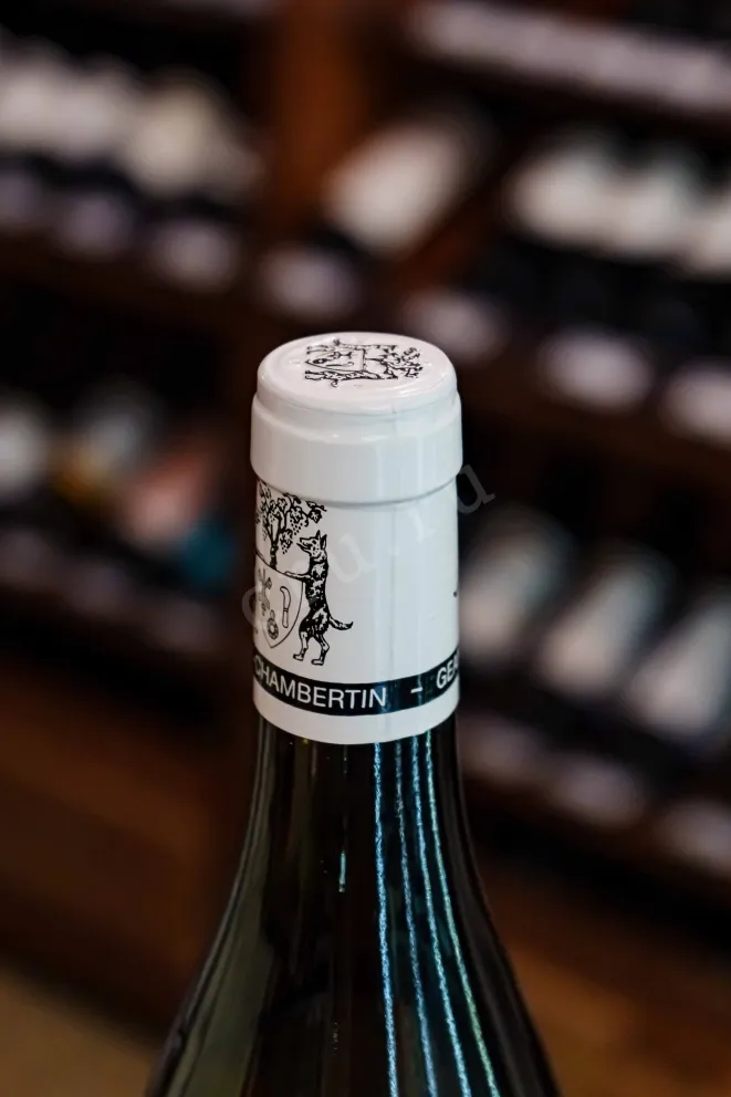 Пробка Geantet-Pansiot Bourgogne Blanc Chardonnay 2022 0.75 л