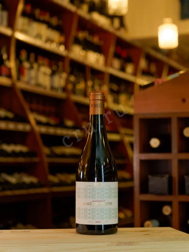 В магазине Крю Профи Jose Pariente Apasionado Rueda DO 2022 0.5 л