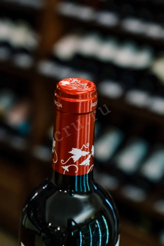 Пробка 1000 Mil Hojas Rioja Tempranillo DOC 2023 0.75 л