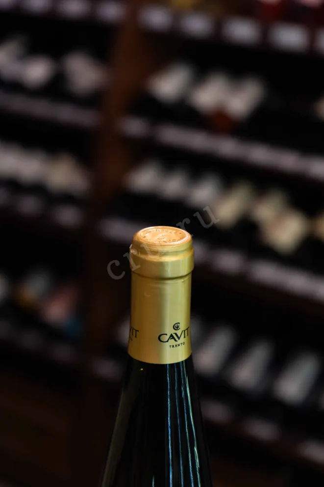Пробка Mastri Vernacoli Sauvignon Blanc 2023 0.75 л