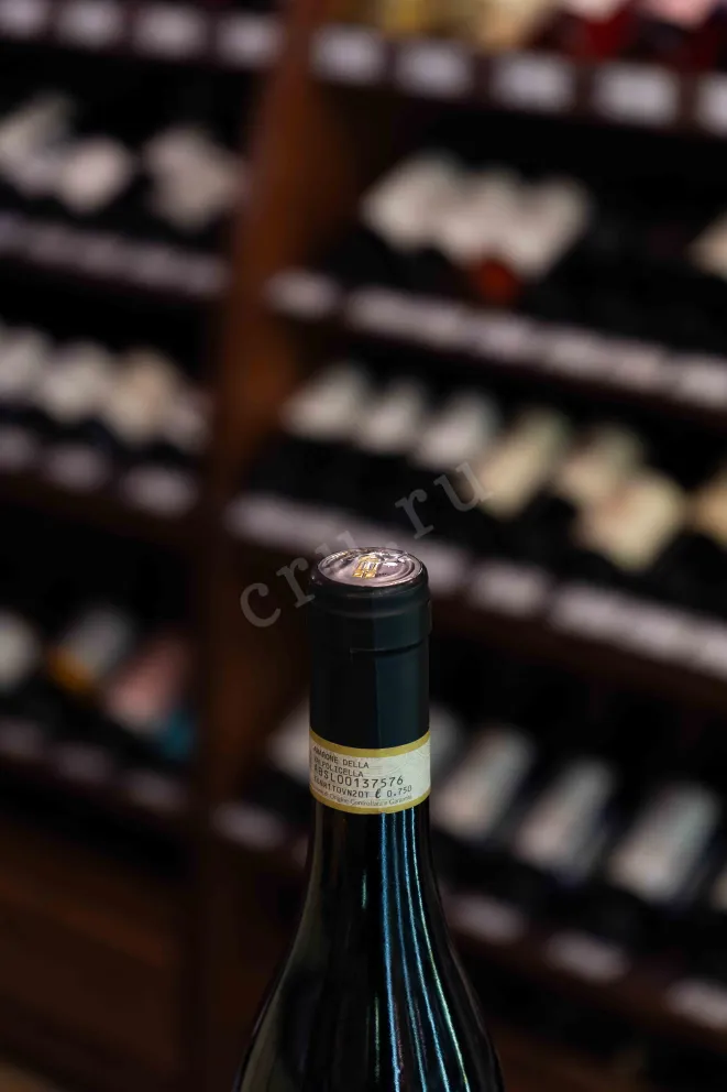 В магазине Крю Профи Tedeschi Maternigo Riserva Amarone Della Valpolicella DOCG 2016 0.75 л