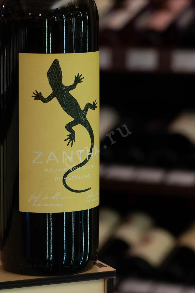 В магазине Крю Профи Zantho Sauvignon Blanc 2024 0.75 л