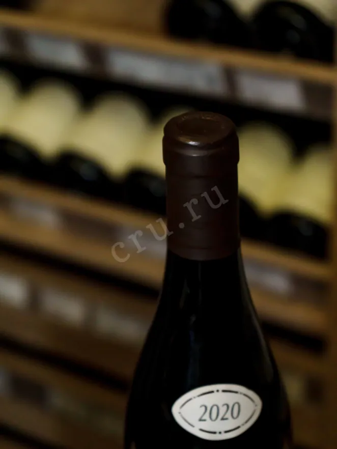 Пробка Gevrey‐Chambertin 1er Cru Clos St.-Jacques Sylvie Esmonin 2020 0.75 л