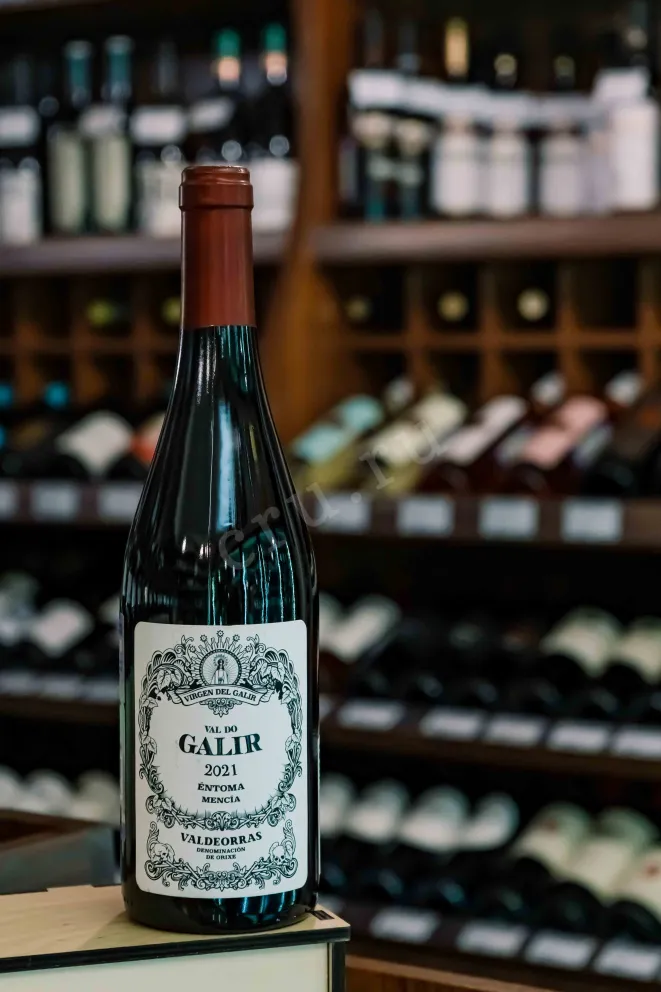 В магазине Крю Профи Val do Galir Mencia Valdeorras 2021 0.75 л