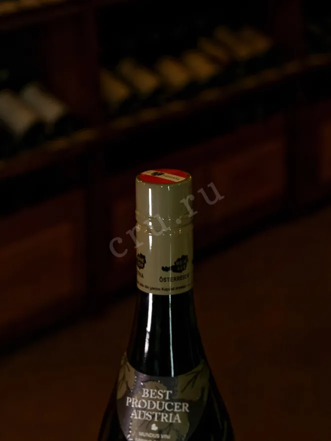 Пробка Weingut R&A Pfaffl Austrian Plum 2024 0.75 л