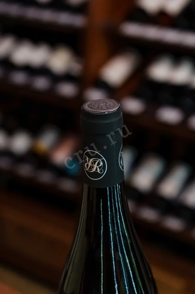 Пробка Domaine Richard Rottiers Beaujolais Village La Sambinerie 2022 0.75 л