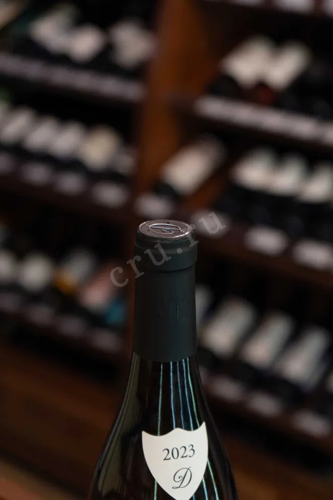 Пробка Domaine Delaporte Sancerre Chavignol Blanc 2023 0.75 л