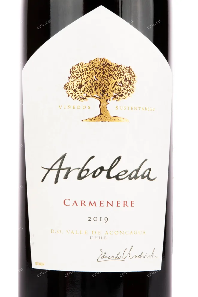 Вино Arboleda Carmenere 2021 0.75 л