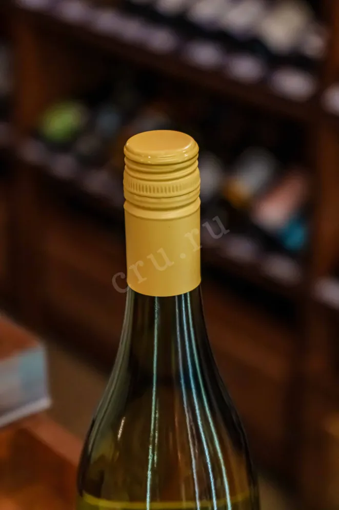 Пробка Paddleboard Cellars Chardonnay 2021 0.75 л