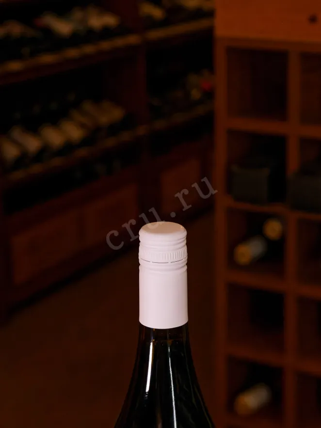 Пробка Esse Merlot Selected 2022 0.75 л