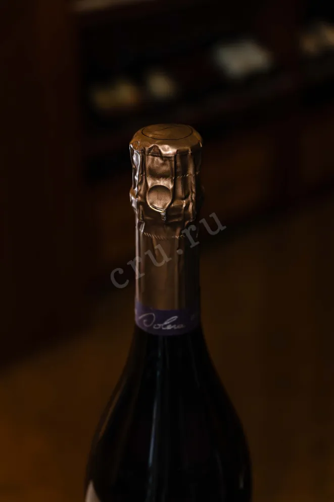 Пробка Nathalie Falmet Cuvee Reverse Perpetuelle 0.75 л