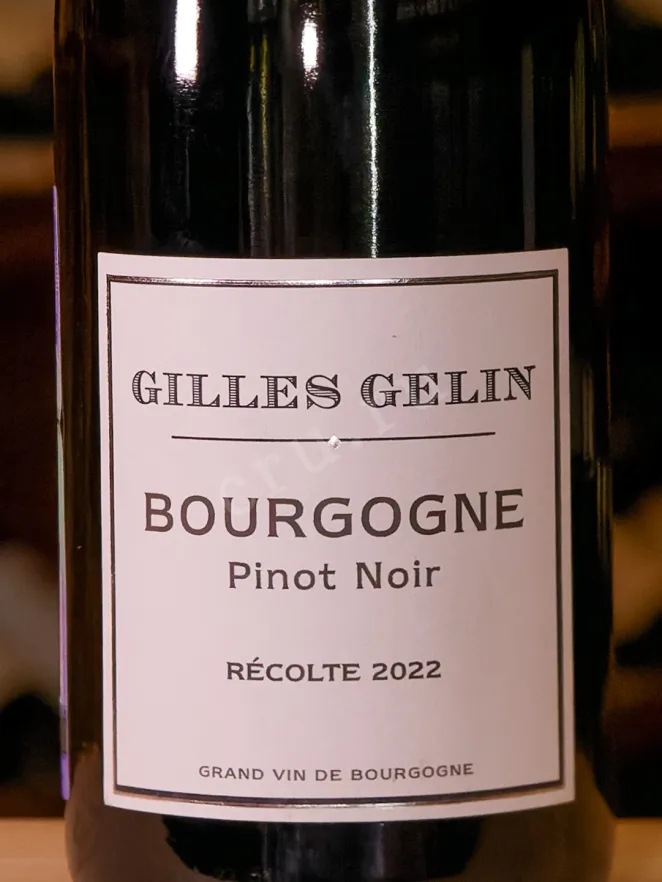 Вино Gilles Gelin Bourgogne Pinot Noir 2022 0.75 л