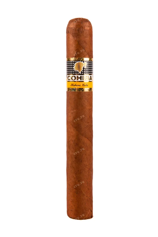Сигары Cohiba Siglo VI *10