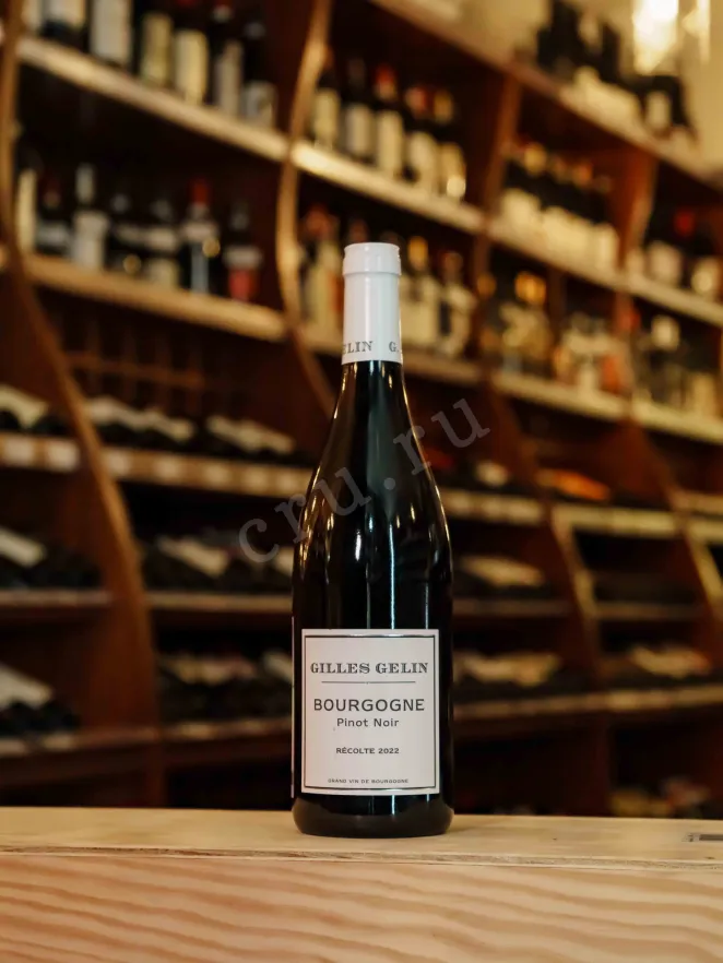 В магазине Крю Профи Gilles Gelin Bourgogne Pinot Noir 2022 0.75 л