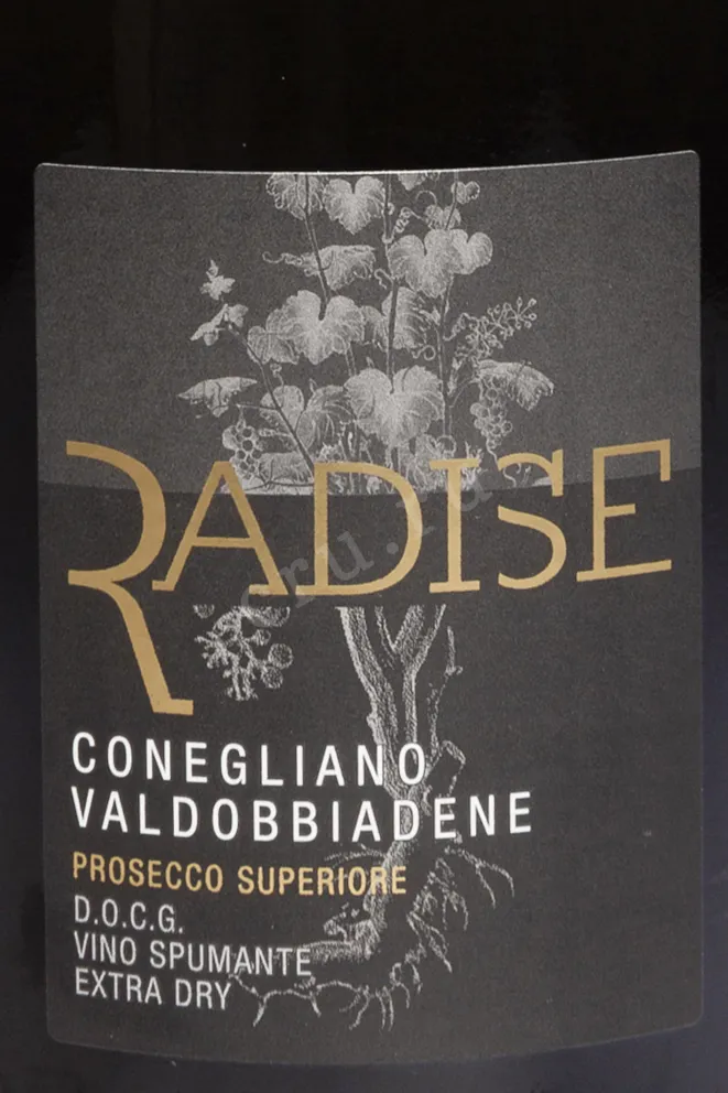 Этикетка San Martino Radise Conegliano Valdobbiadene Prosecco Superiore DOCG 2023 0.75 л