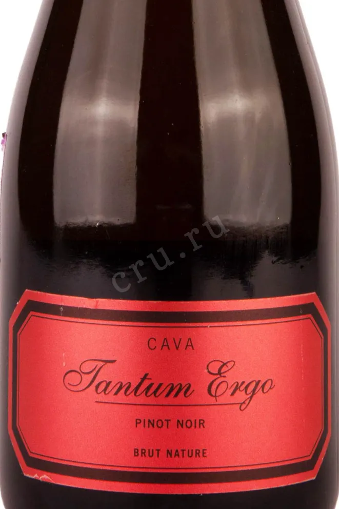Этикетка Tantum Ergo Brut Nature Rose 2018 0.75 л