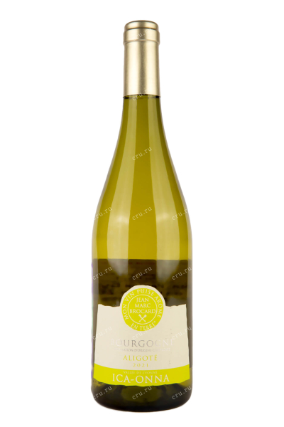 Вино Bourgogne Vallee de l'Yonne 2021 0.75 л