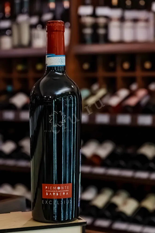 В магазине Крю Профи Roberto Sarotto Excelsius Piemonte Barbera DOC 2022 0.75 л