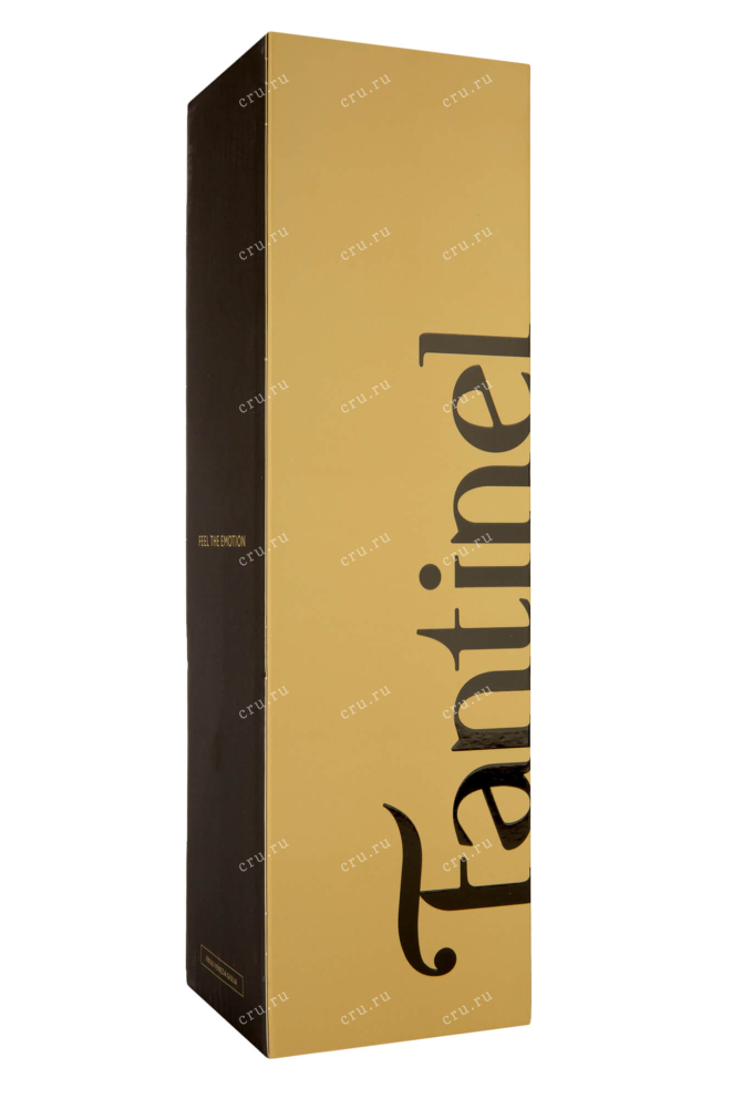 Подарочная коробка Fantinel Extra Dry DOC  2020 0.75 л