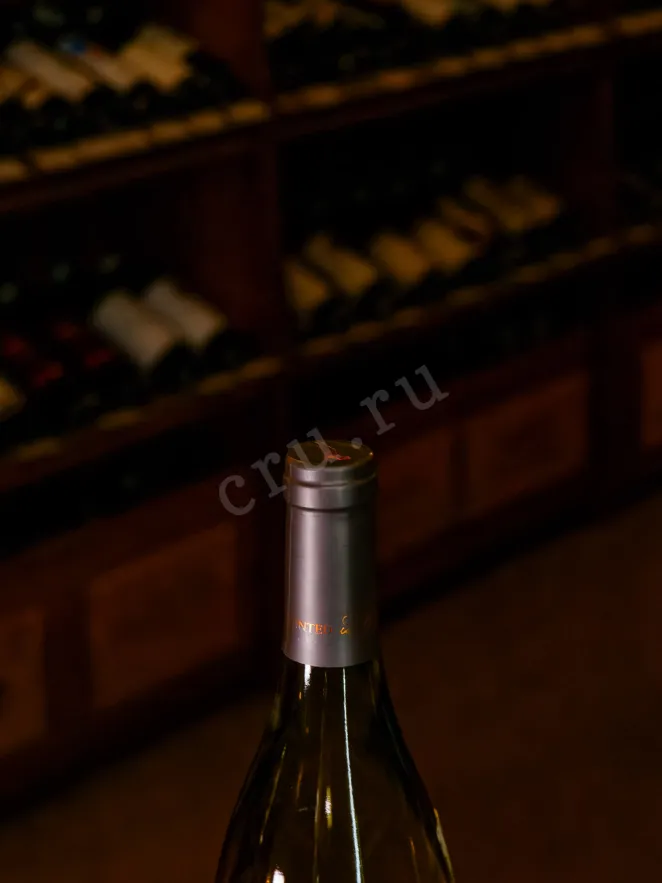 Пробка Painted Wolf Solo Roussanne 2022 0.75 л