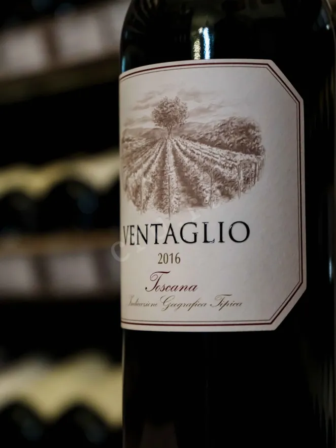 В магазине Крю Профи Argentiera Ventaglio 2016 0.75 л