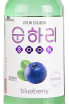 Этикетка Chum Churum Soonhari Blueberry 0.36 л