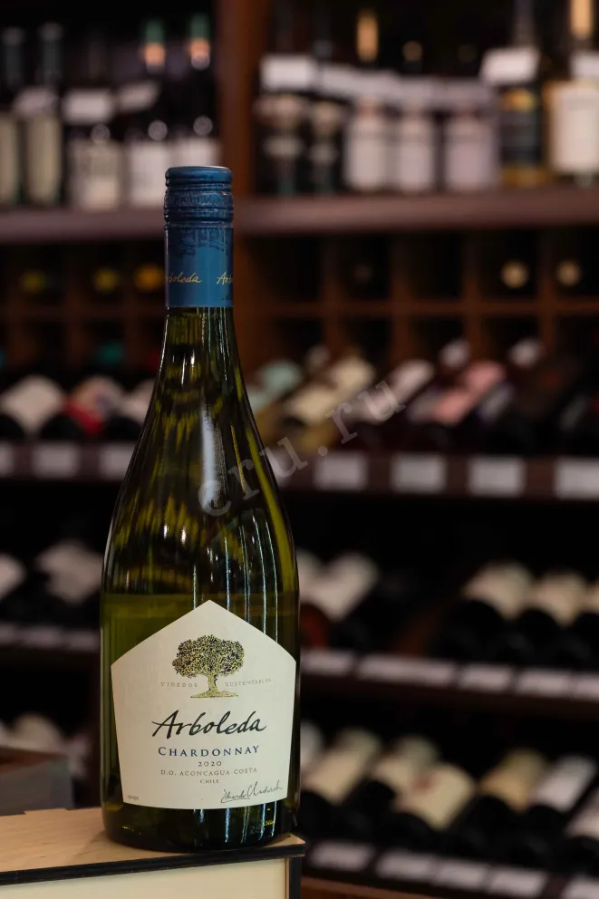В магазине Крю Профи Arboleda Chardonnay 2020 0.75 л
