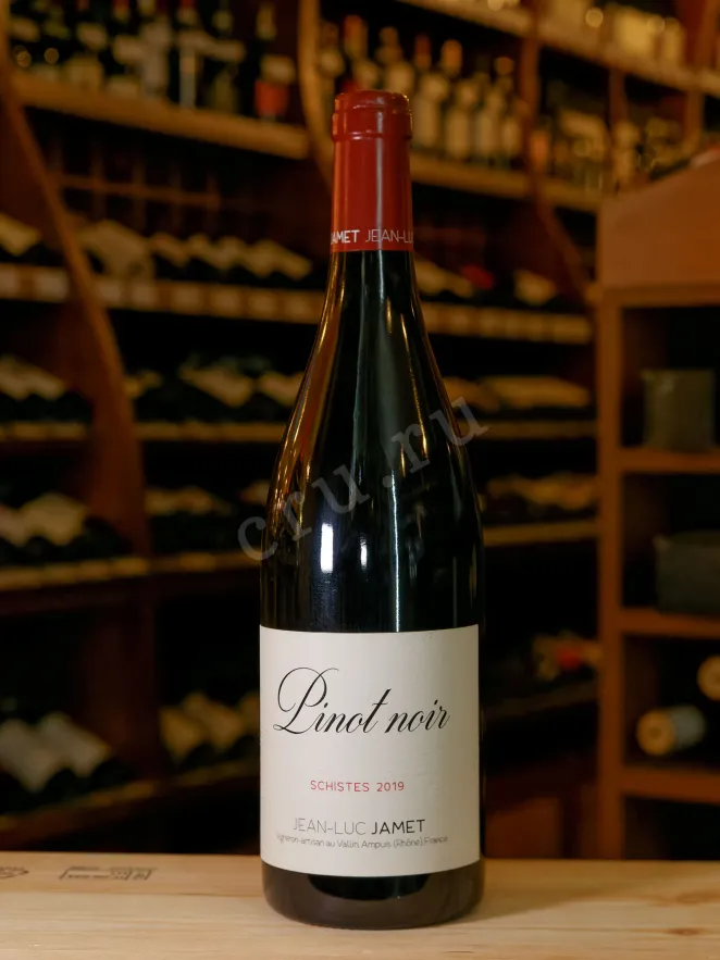 В магазине Крю Профи Domaine Jean-Luc Jamet Schistes Pinot Noir Collines Rhodaniennes 2019 0.75 л