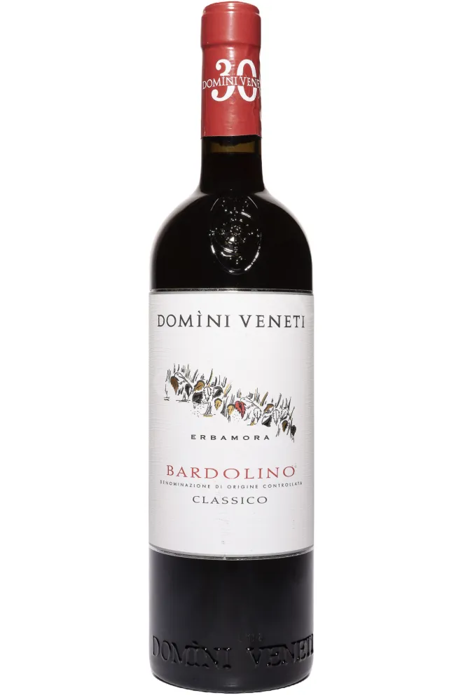Вино Domini Veneti Bardolino Classico 2020 0.75 л
