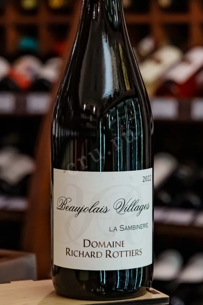 В магазине Крю Профи Domaine Richard Rottiers Beaujolais Village La Sambinerie 2022 0.75 л