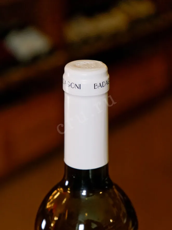 Пробка Badagoni Rkatsiteli 2022 0.75 л