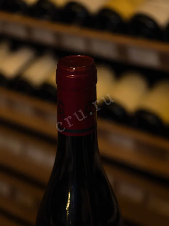 Пробка Maxime Cheurline Noellat Morey-Saint-Denis 1er Cru Clos des Monts Luisants 2019 0.75 л