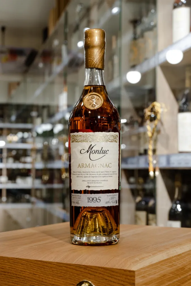 В магазине Крю Профи Monluc 1995 0.7 л