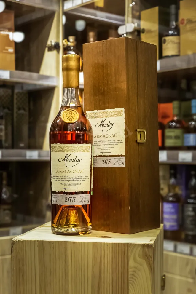 В магазине Крю Профи Monluc 1975 0.7 л