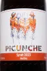 Этикетка Picunche Syrah Valley Central DO 2023 0.75 л