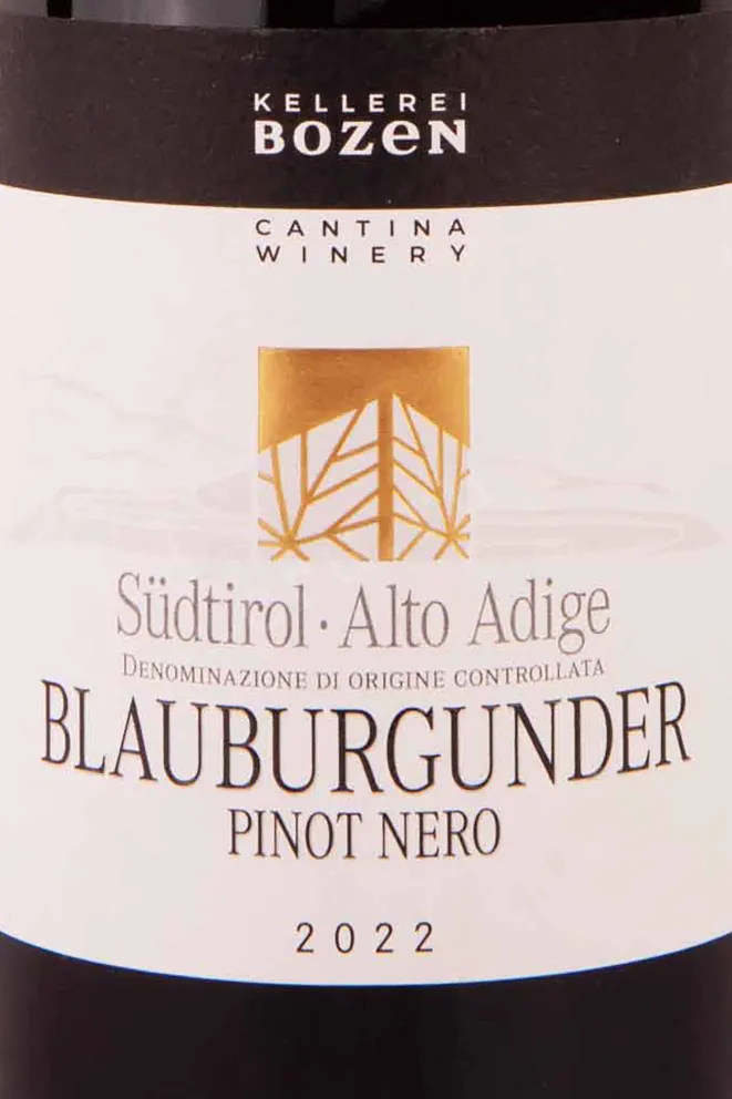 Этикетка Kellerei Bozen Pinot Nero Blauburgunder 2022 0.75 л