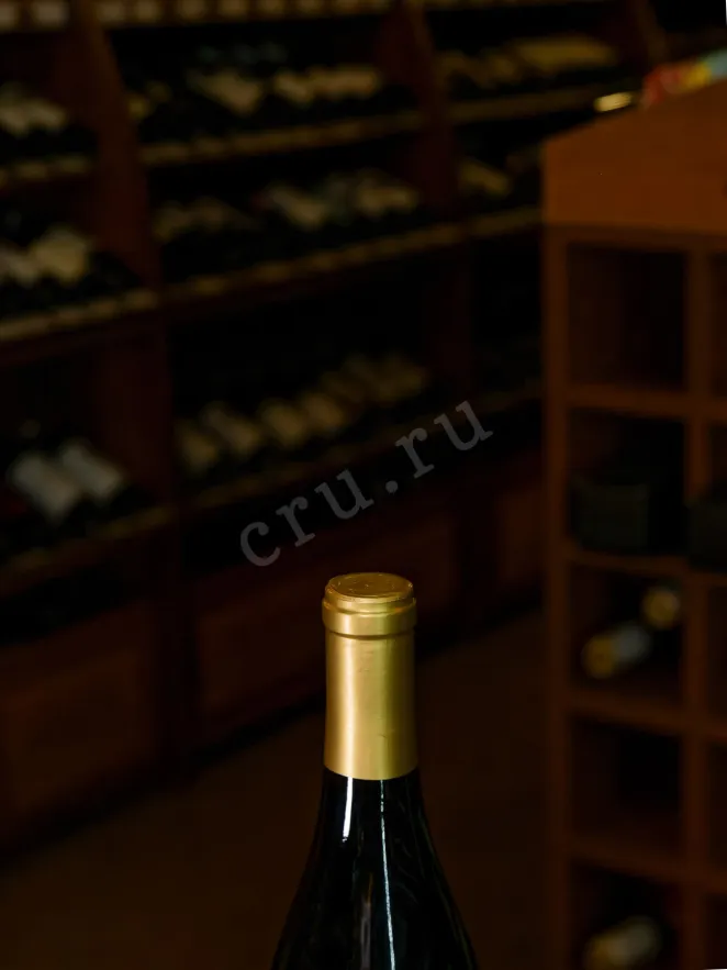 Пробка Pyramid Scheme California Pinot Noir 2023 0.75 л