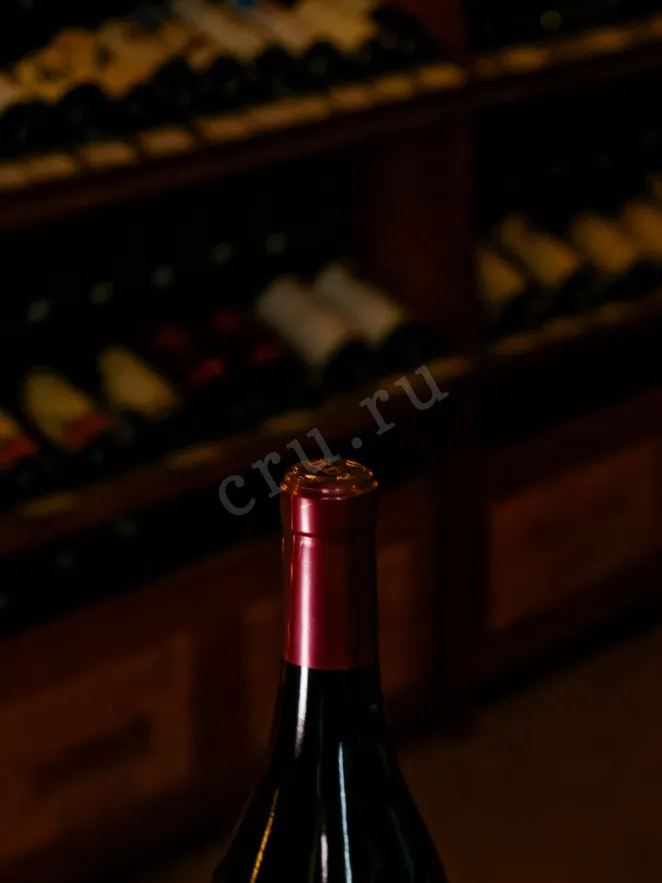 Пробка Battaglione Barbera D'asti 2023 0.75 л
