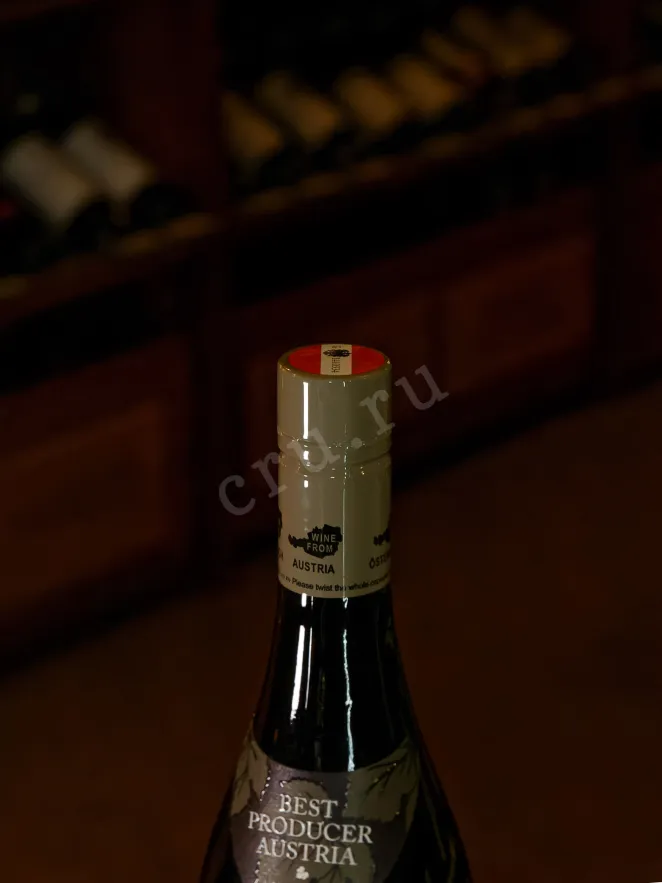 Пробка Weingut R&A Pfaffl Austrian Blackberry Zweigelt 2024 0.75 л