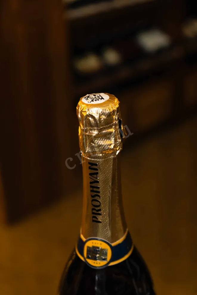 Пробка Proshyan Classic Collection Brut 2021 0.75 л