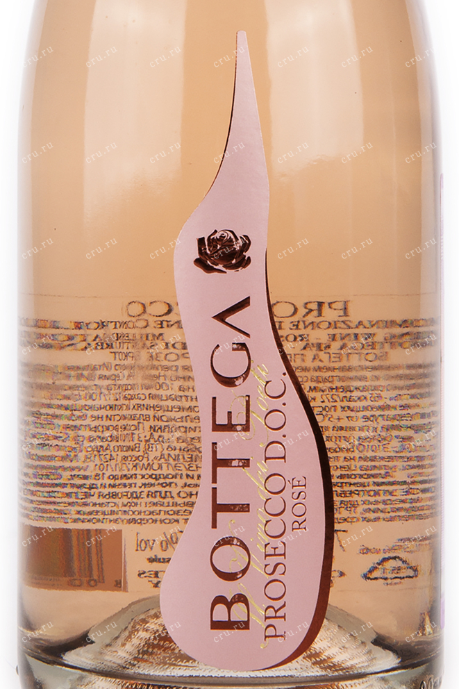 Этикетка игристого вина Bottega Prosecco Rose Brut 0.75 л