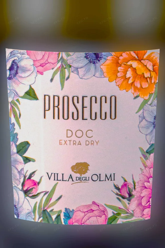 Этикетка Prosecco Villa degli Olmi Spumante Extra Dry gift box 2023 0.75 л